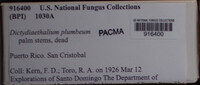 Image Associated With the Occurence